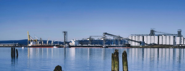 Boats on water being loaded by cranes