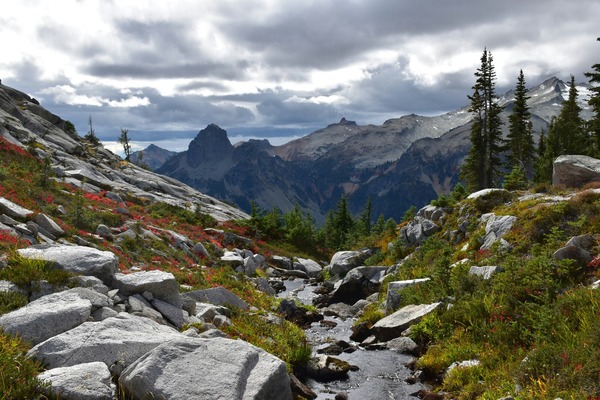 A small river flowing through a rocky trail in the mountains on a cloudy day. 