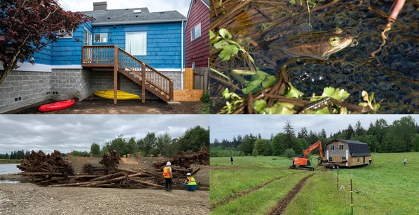 Photo collage of chehalis basin projects