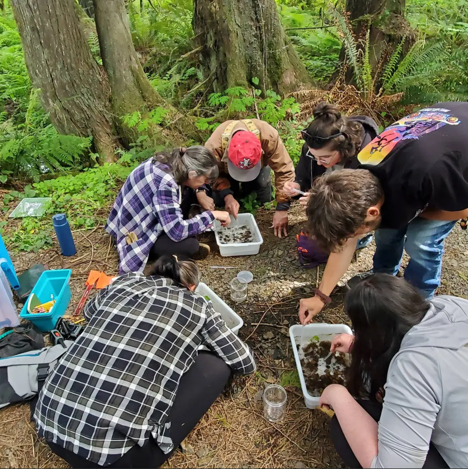 A group of Grays Harbor Stream Team volunteers examine stream samples. 