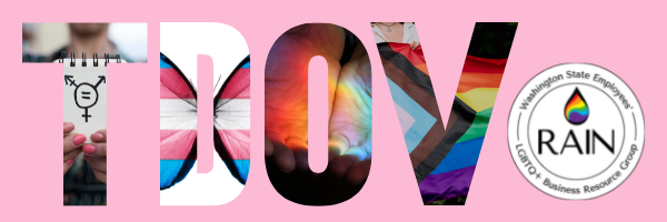 Letters TDOV with different variations of trans pride flag inside and rain logo