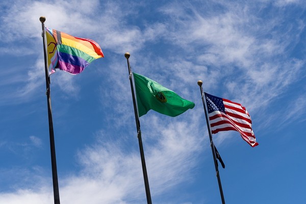 Intersex Pride Flag at Capitol