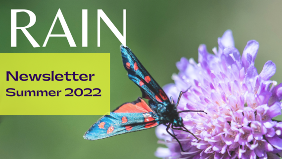 RAIN Summer 2022 Newsletter a butterfly on a flower