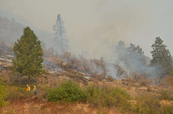 Crews battle a wildfire in Chelan County in 2015. Nearly 900 wildfires occur in a typical year in Washington state.