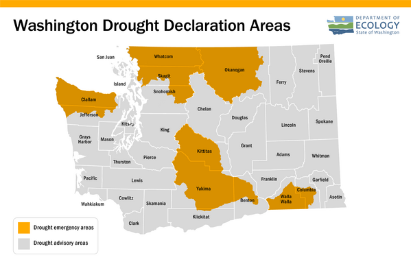 The Department of Ecology has issued an emergency drought declaration for 12 counties