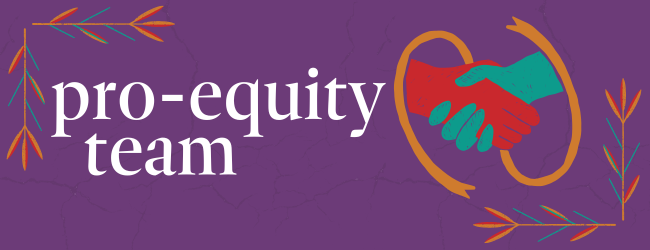 “pro-equity team” sits on a purple background. Sitting to the right of the text are two hands in a firm handshake, surrounded by an orange ribbon.