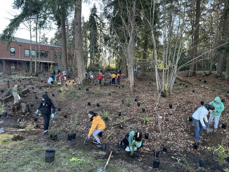 Volunteers plant trees near an apartment complex.