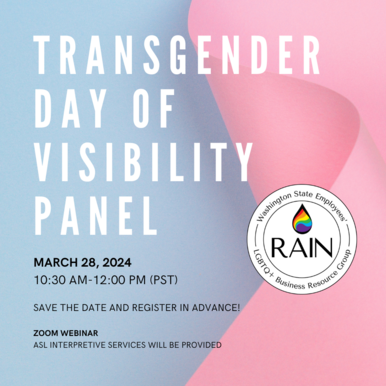 Transgender Day of Visibility Panel in white text on pink and blue background