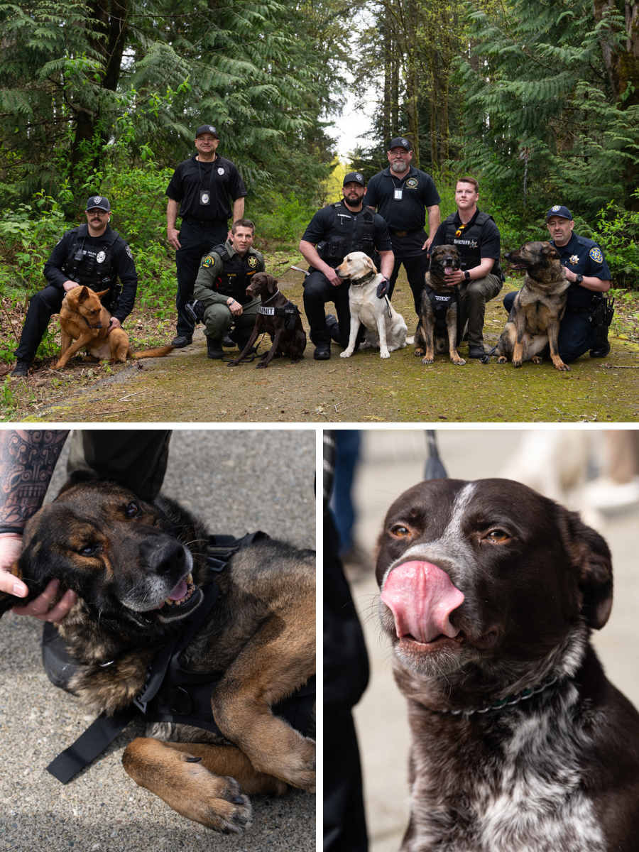Five new DOC-certified fentanyl-detecting dogs pose with their handlers.
