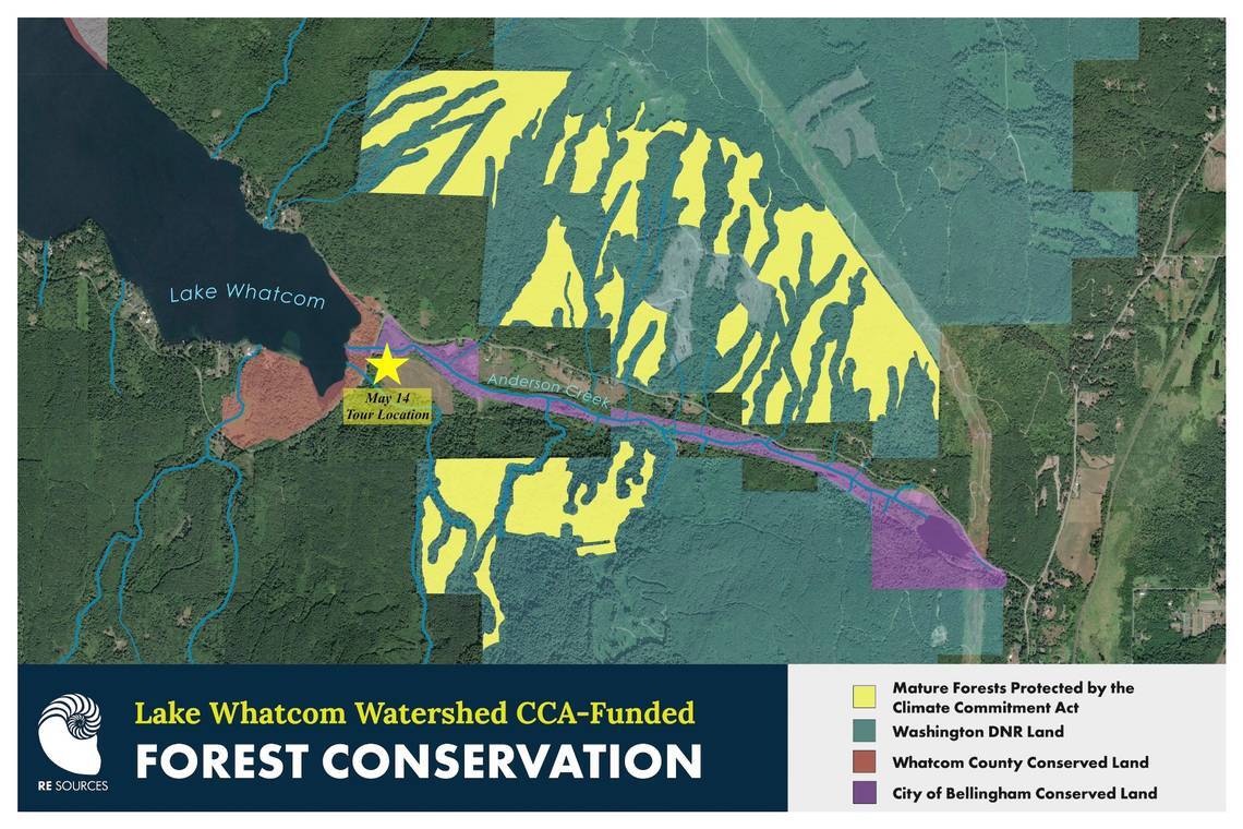 A map of forestland purchased with Climate Commitment Act funding in Whatcom County.