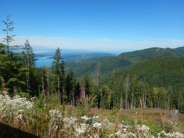 Forested hills over a lake on a sunny day