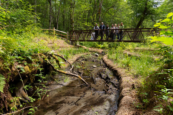 A group of people stands on a pedestrian bridge over a shallow creek in a forest.