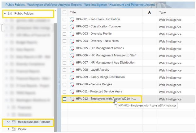 Webi Public Folders Headcount