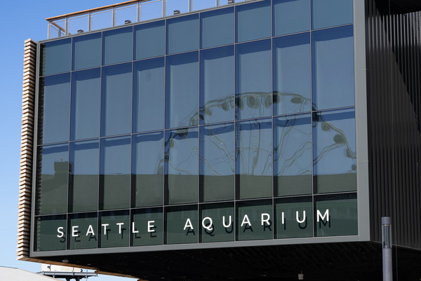 The Seattle Aquarium's new ocean pavilion