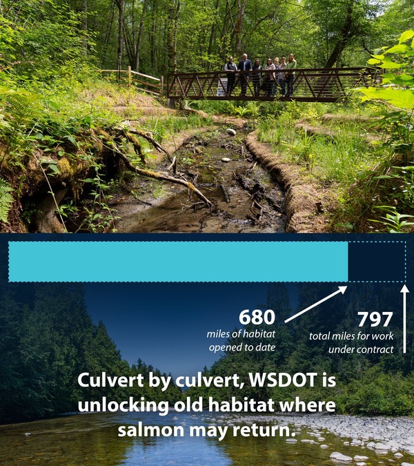 A group of people stands on a footbridge over a freshly-restored creek bed. A graph shows progress by the state to open salmon habitat.