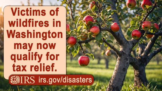 IRS Disaster Relief