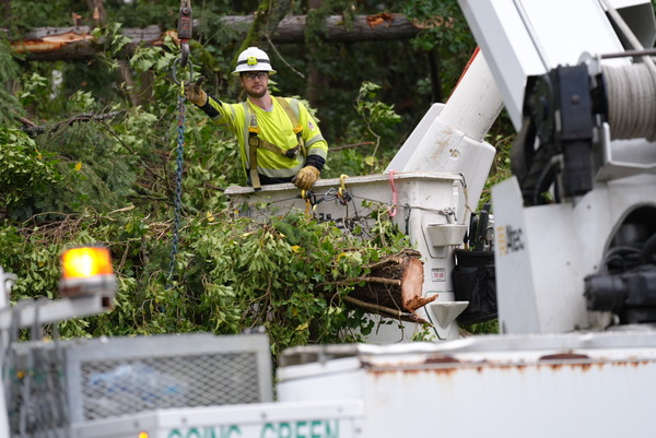 A utility worker clears debris from a fallen tree