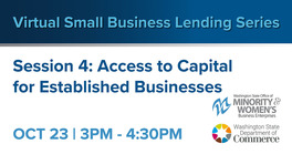 Virtual Small Business Lending 2