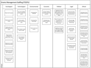 STEEPLE analysis example