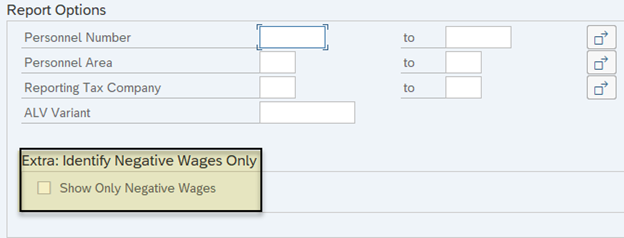HRMS Report Options screenshot showing new check box called Show Only Negative Wages