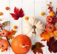 An assortment of pumpkins in all shapes, colors and sizes