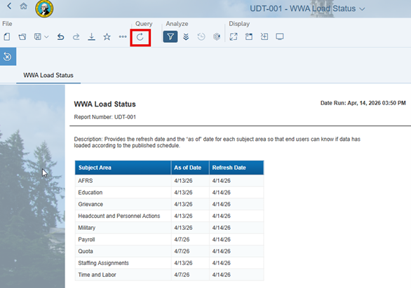 Example of the WWA Load Status screen