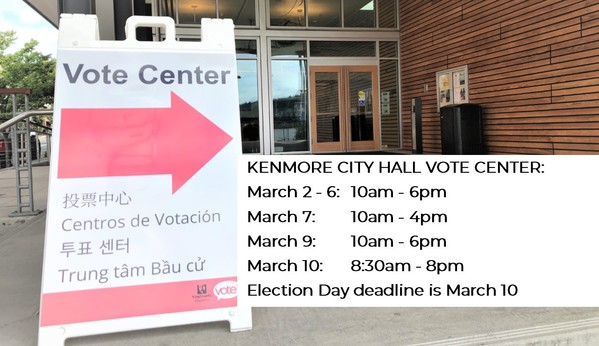vote center mar 2020