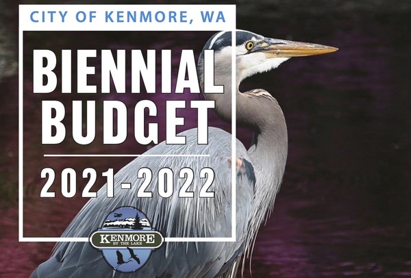 Budget Cover (draft)