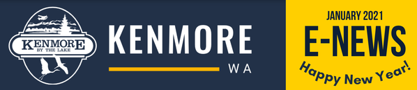 e-news banner january 2021