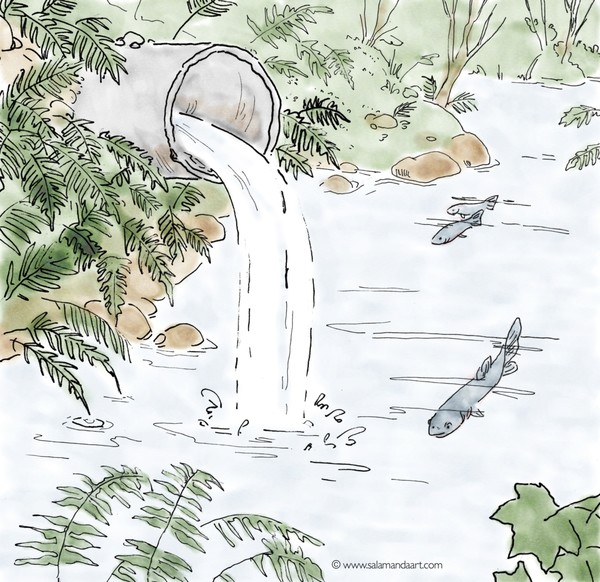 Environmental Services artwork