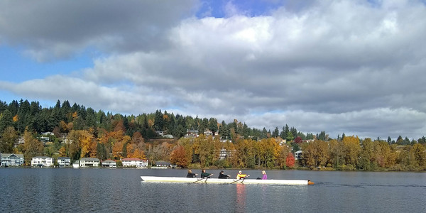 Kenmore Rowing