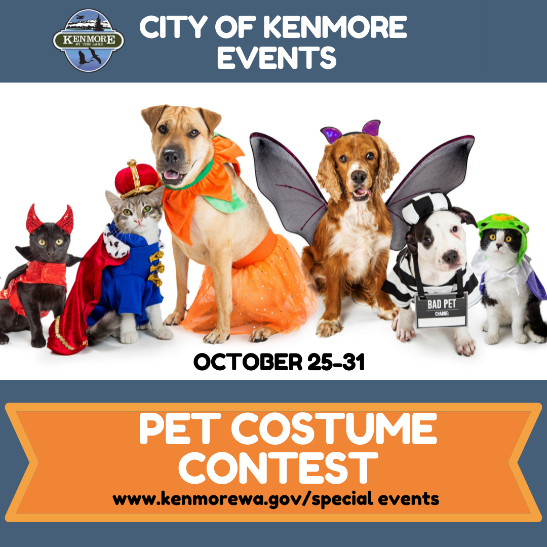 Pet Costume Contest 2021