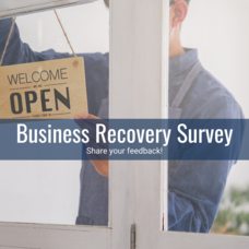 Business Recovery Survey