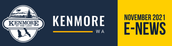 november e-news banner