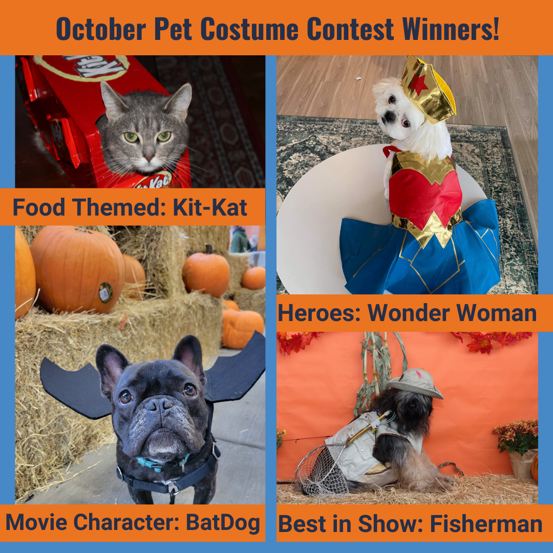 pet contest winners