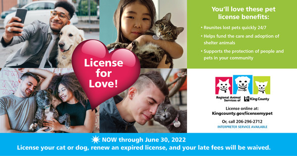 license your pet