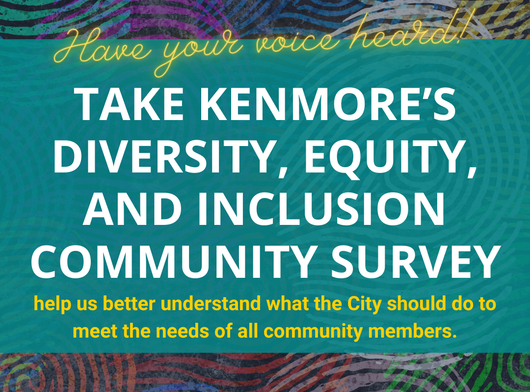 dei community survey