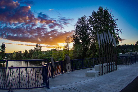 West Sammamish River Bridge Spring 2022