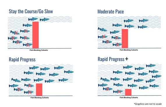 Share Your Opinion: SWM Rates and How They Impact Our Local Streams