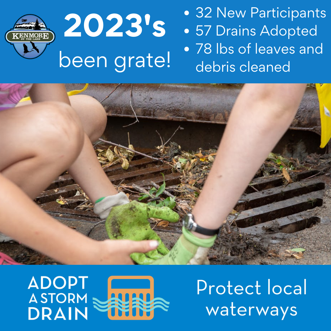 adopt a drain