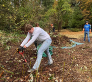 volunteer restoration