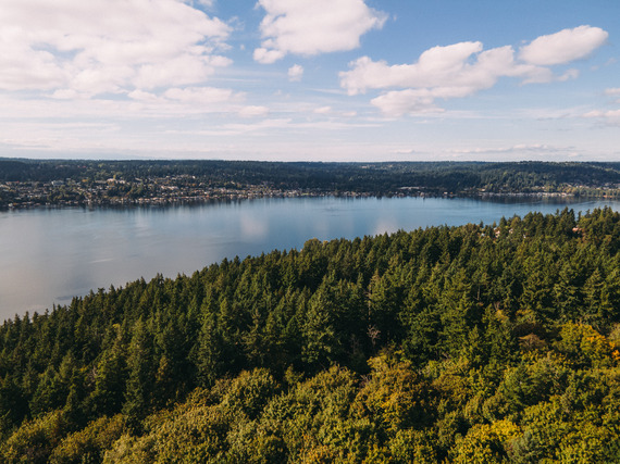 kenmore trees aerial
