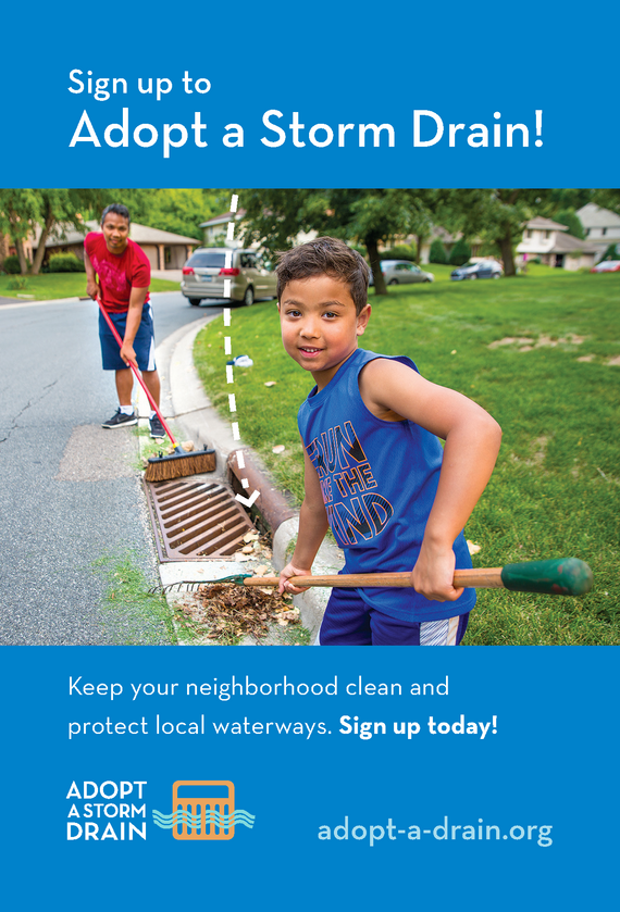 adopt a storm drain