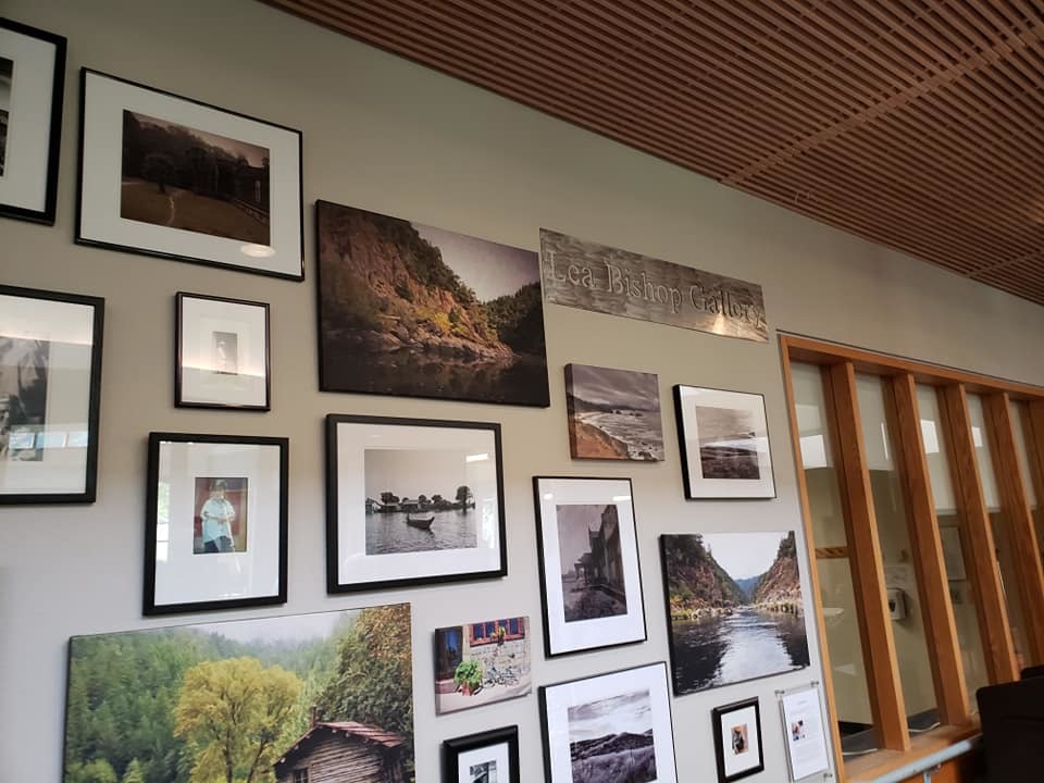 Lea Bishop Gallery