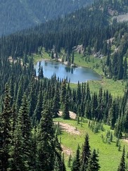 Gold Creek Pond Vertical