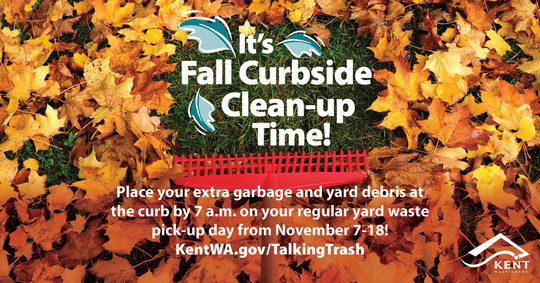 Fall Cleanup