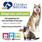 clear the shelter