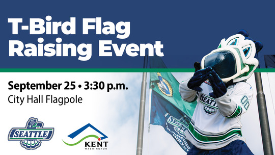 flag raising thunderbirds