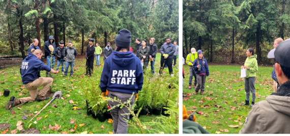 November Green Kent event