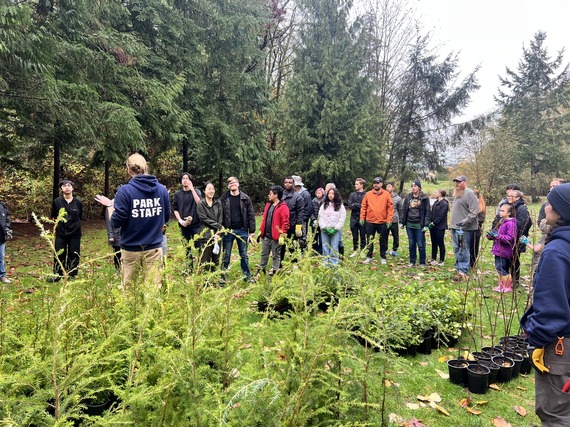 November Green Kent event